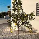 Casa Kiara Silvercoast Nadadouro