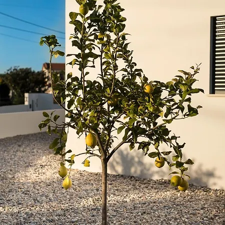 Casa Kiara Silvercoast Nadadouro