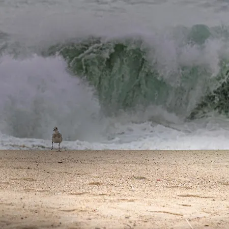 Holiday home Casa Kiara Silvercoast *