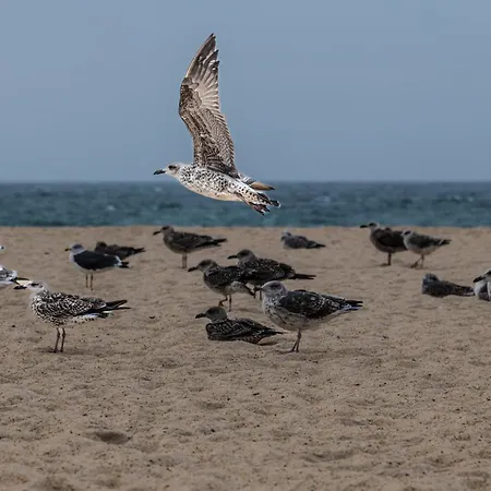 Casa Kiara Silvercoast * Nadadouro