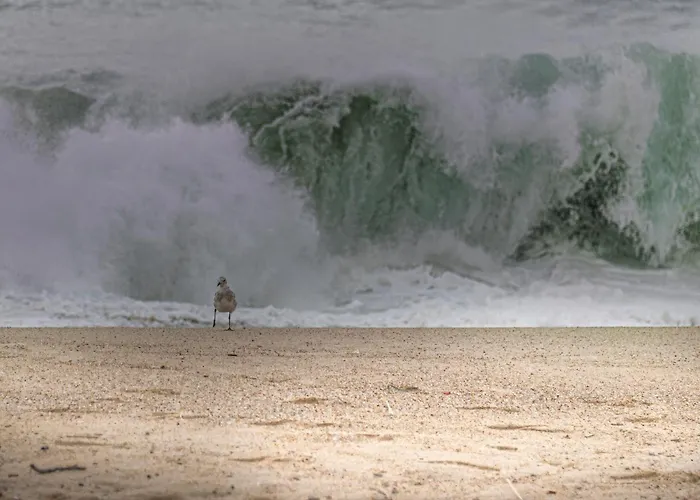 Semesterbostad Casa Kiara Silvercoast *